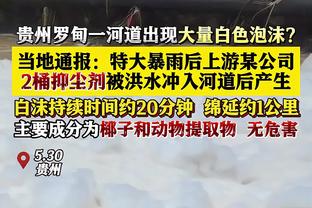 迪马：利维拉尼将接替因扎吉，成为萨勒尼塔纳新任主帅